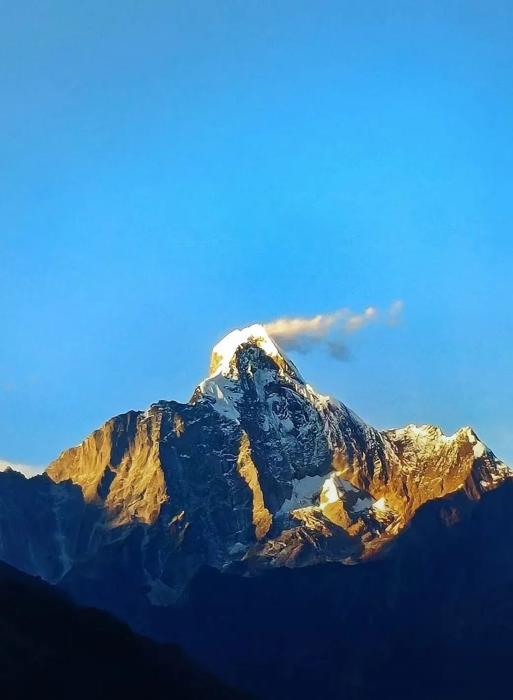 image-20220324110637-6