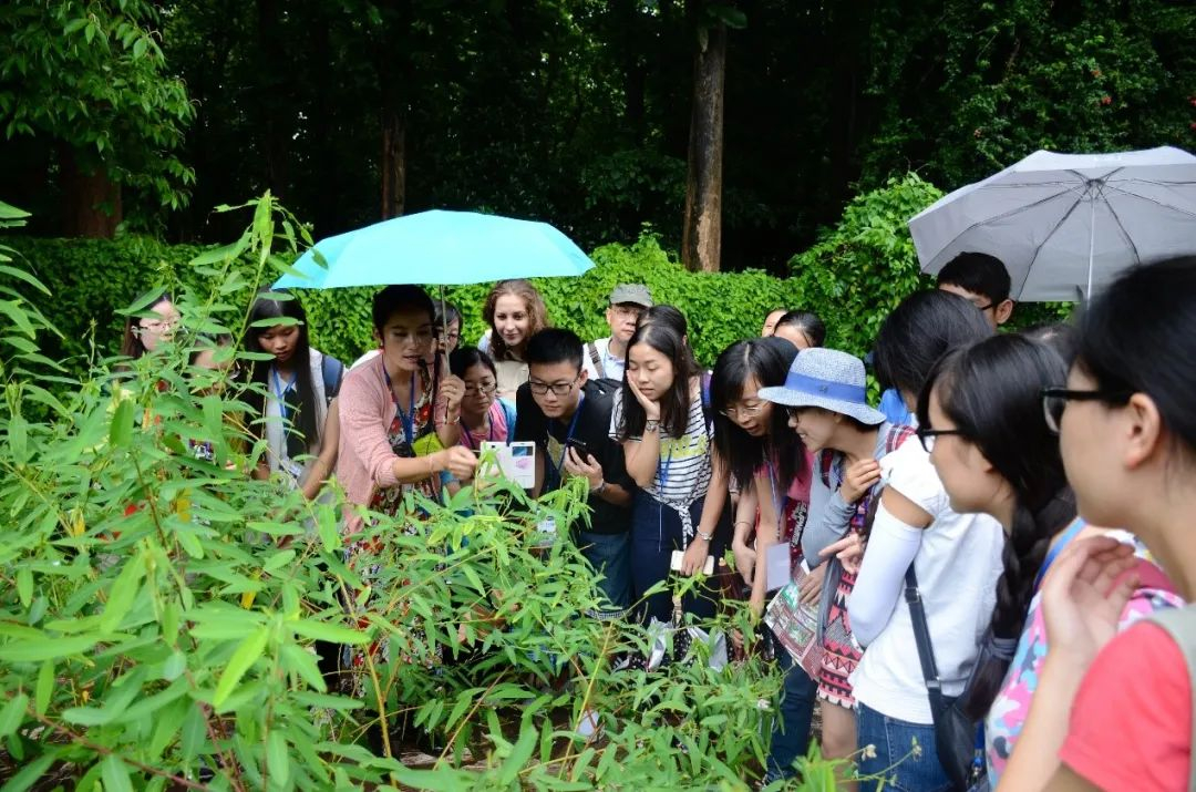 image-20220608165229-13