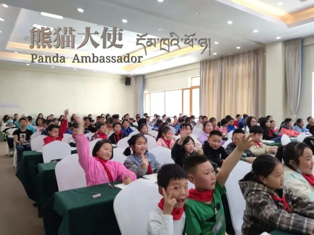 image-20220608165645-4