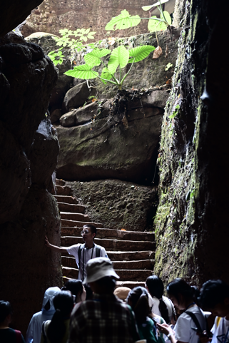 image-20220926084924-13