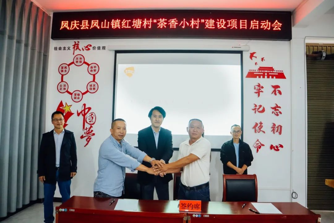 image-20221031195005-1