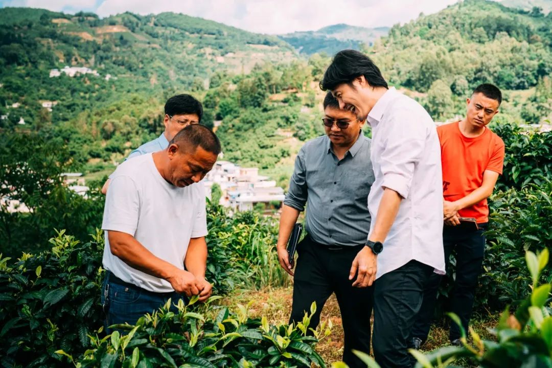 image-20221031195005-3