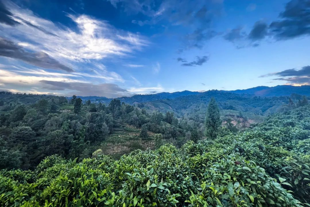 image-20230214191007-7