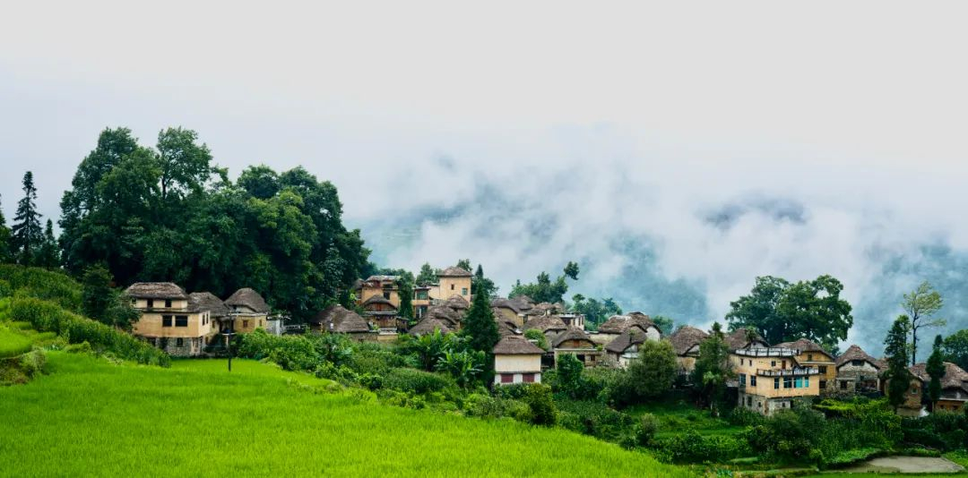 image-20230227212158-4