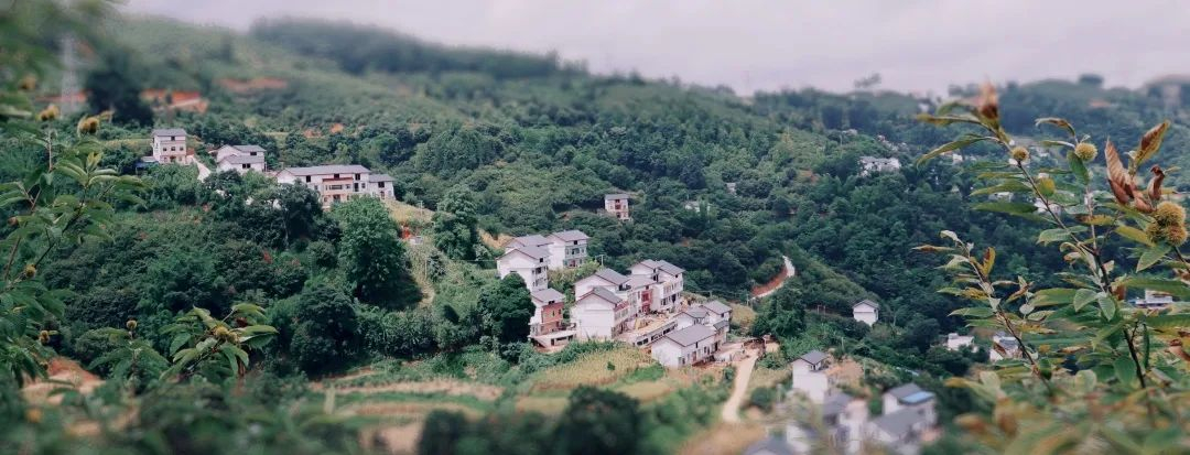 image-20230327185601-11