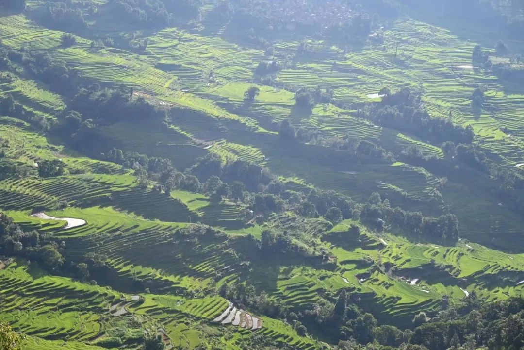 image-20230817111817-1