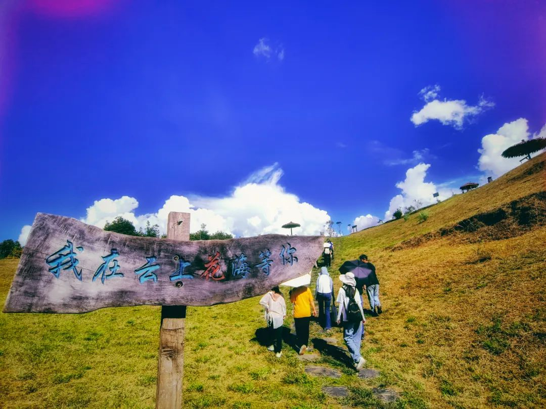 image-20231008083500-7