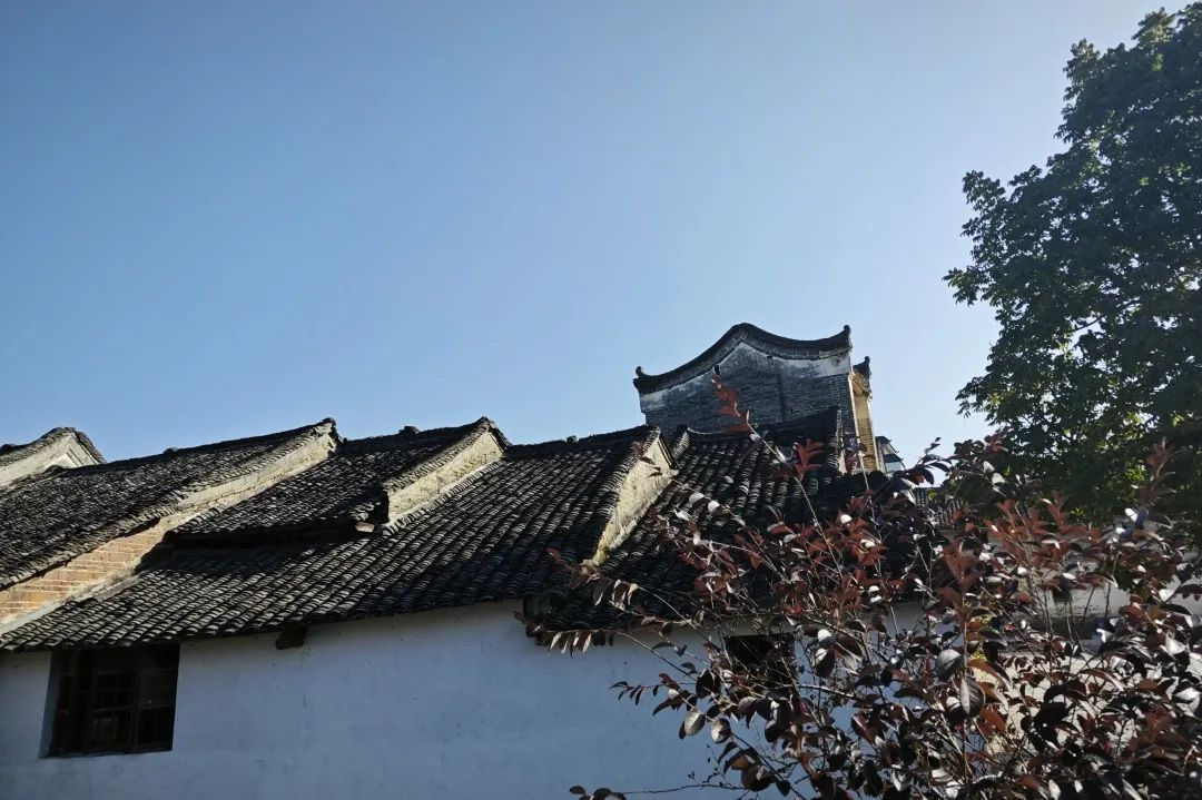 image-20240208112429-12