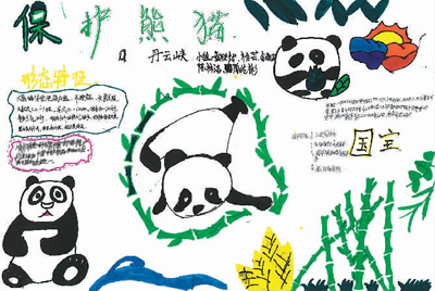 image-20240430115703-8