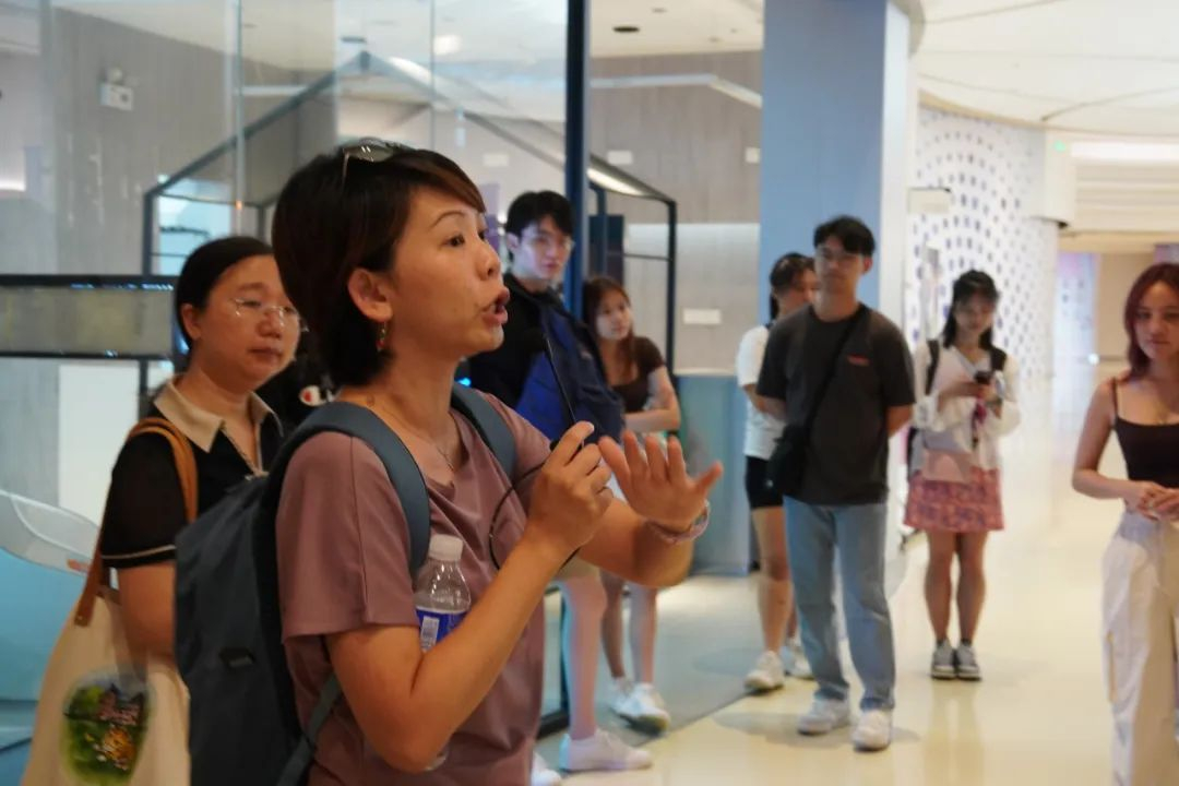 image-20240806172352-5