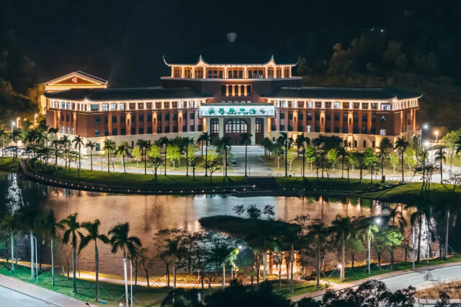 image-20241129213338-7