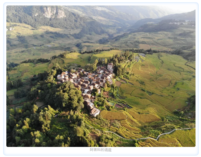 image-20250106153833-7